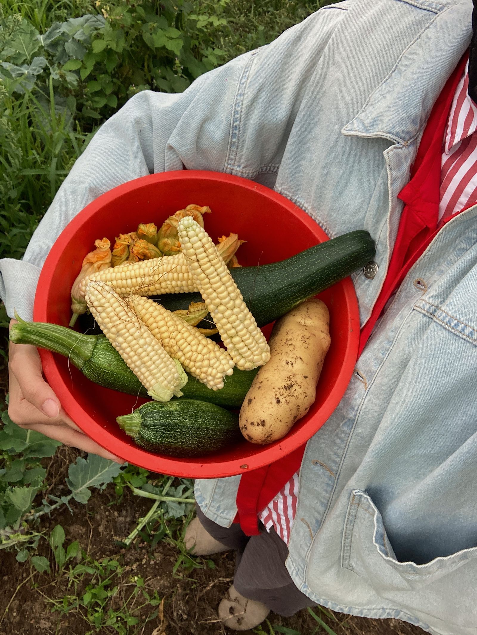 A colorful farm stand harvest display of fresh produce