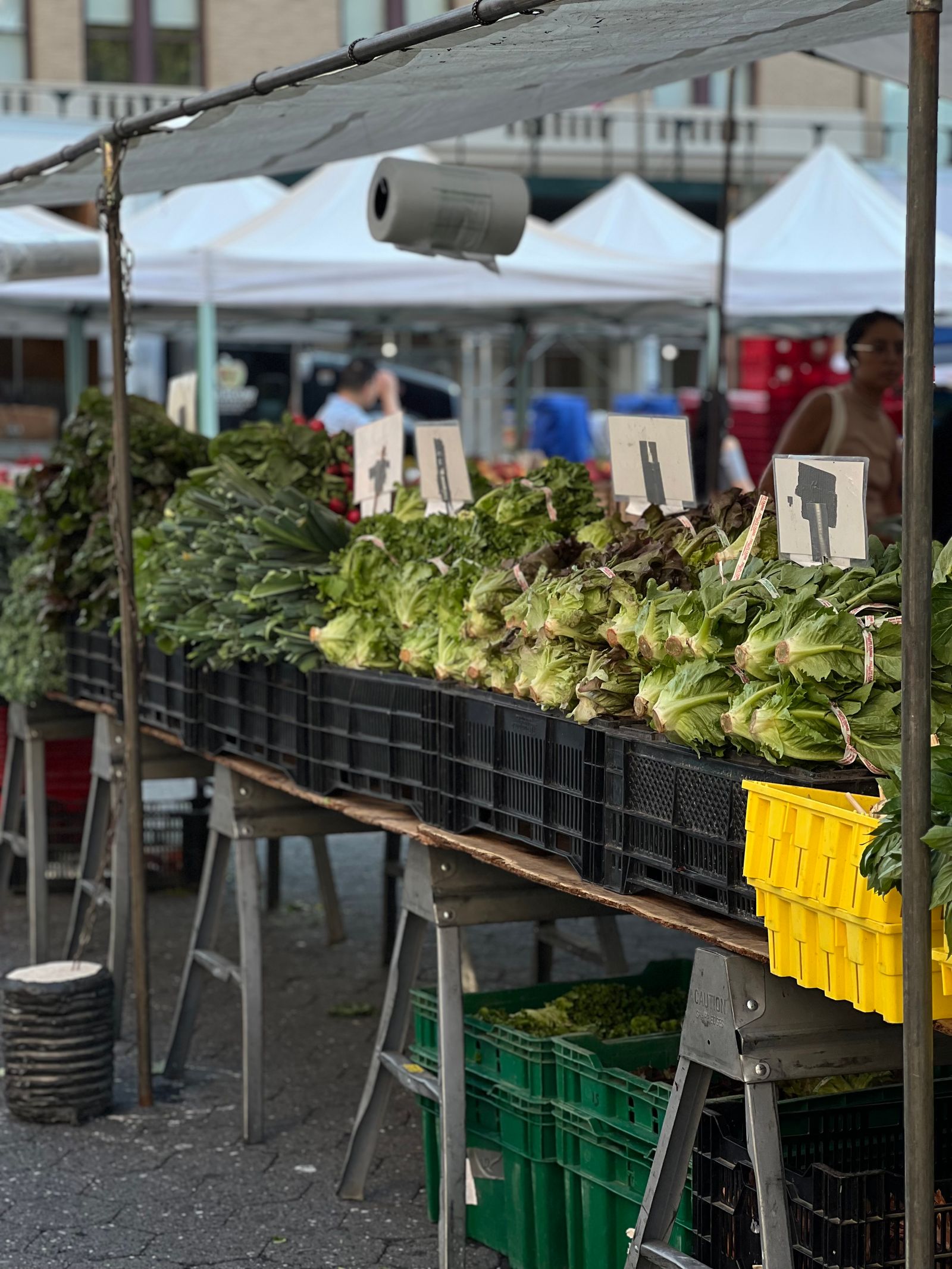 A busy local farmers market with vendors and shoppers