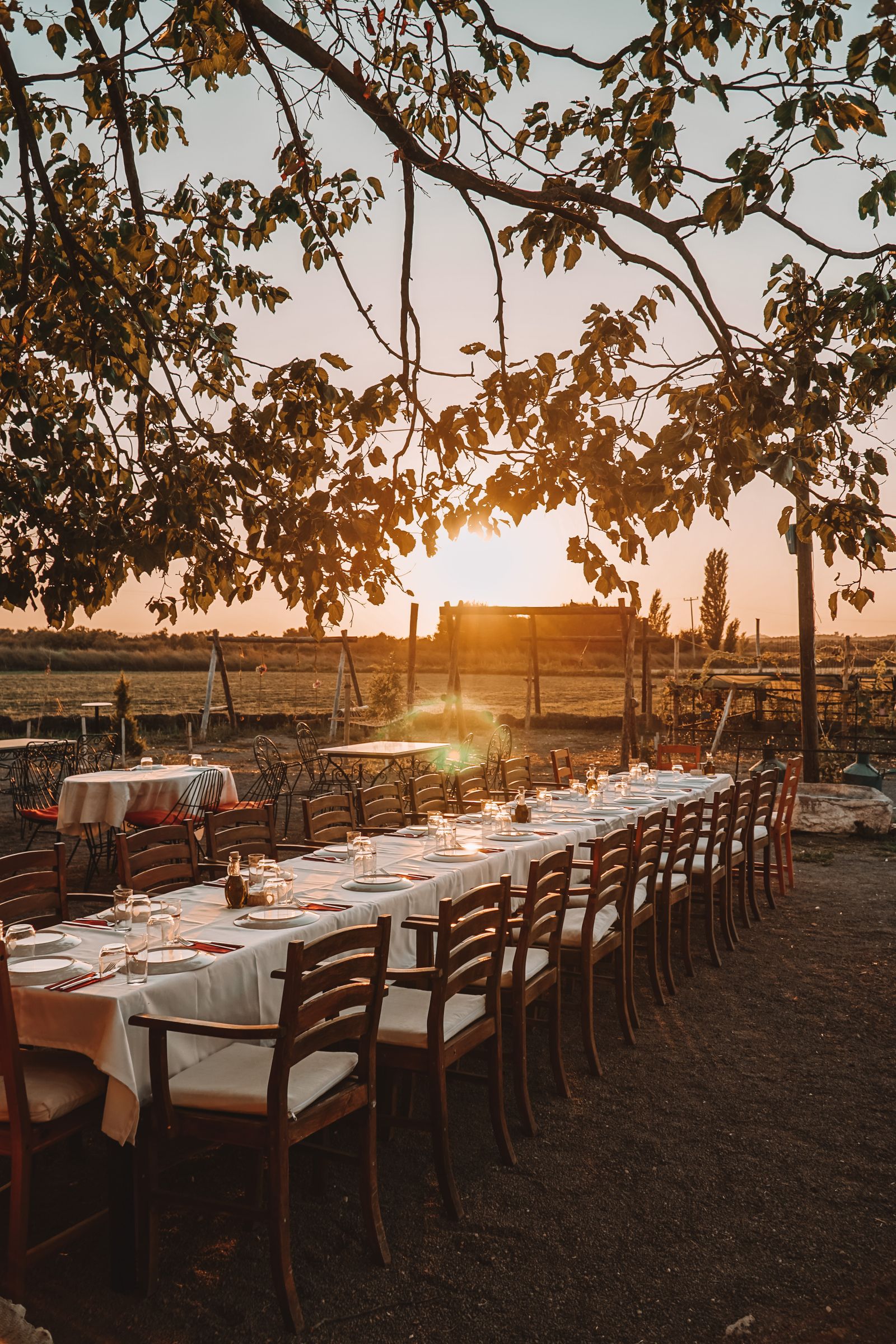 A long farm-to-table dinner table set in a sunny rural yard