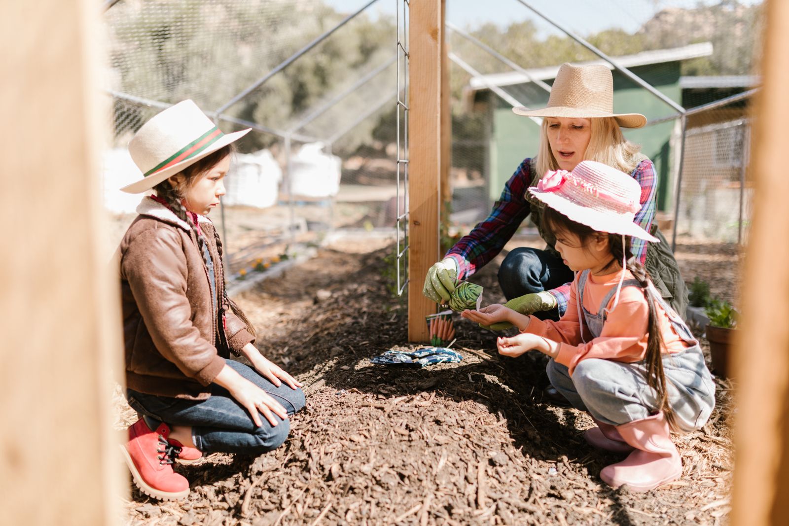 Group, School & Corporate Farm Visits: Weekday Revenue for Your Farm cover image