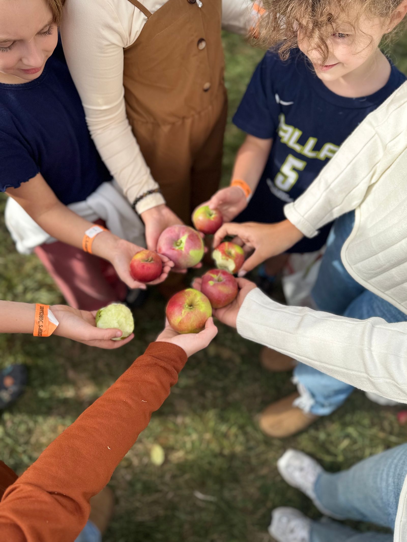 Children enjoying an apple harvest at a farm on a sunny day