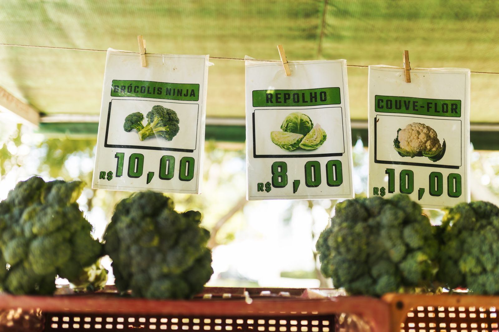 A colorful fresh-produce display with price tags at a local market