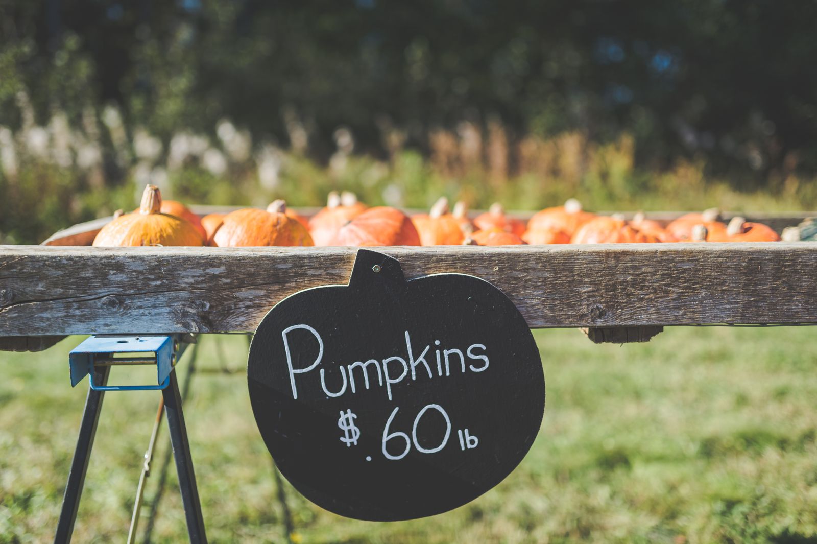 Pricing Admission, Experiences & U-Pick at Your Farm cover image