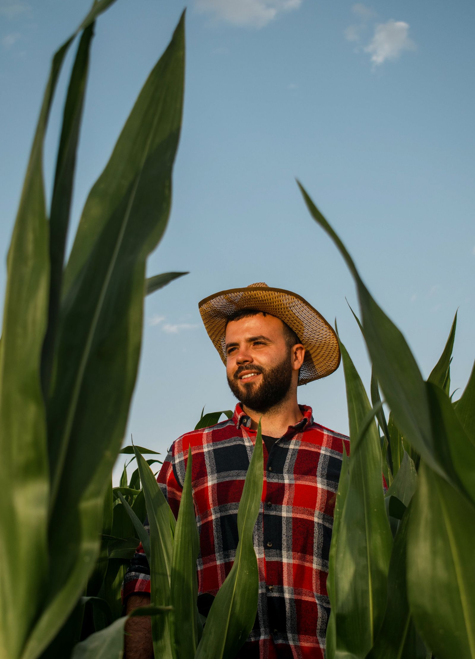 Diversifying Your Farm Income with Agritourism: A Getting-Started Guide cover image