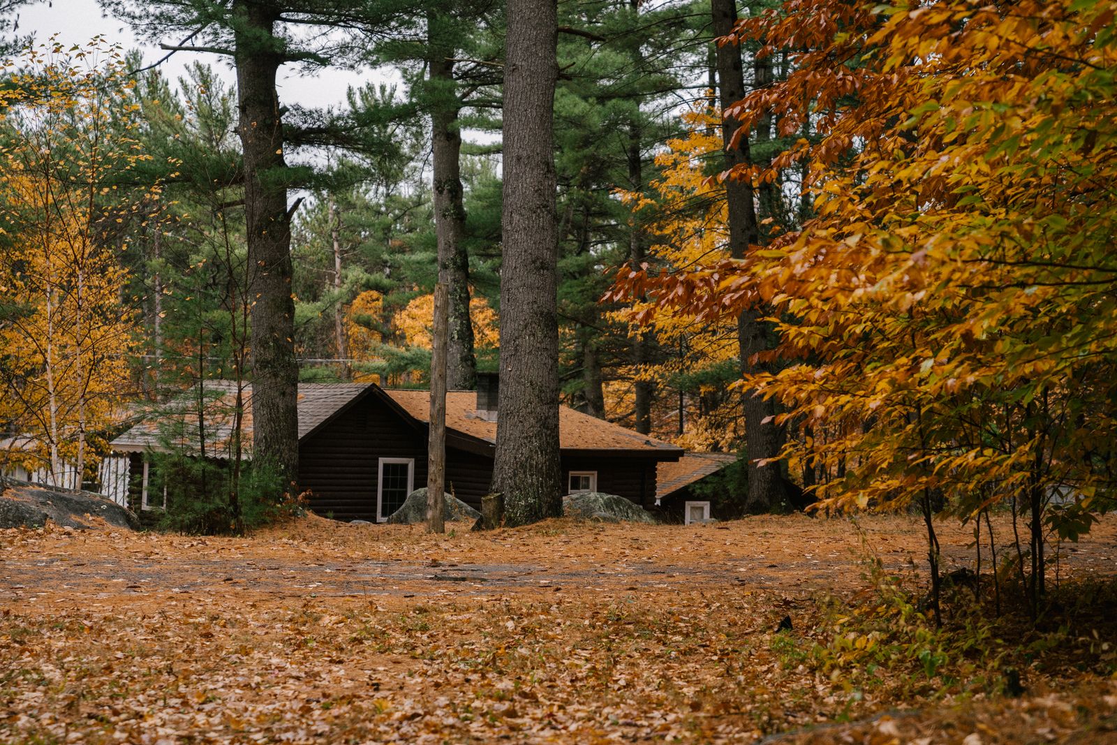 A unique cabin set among autumn forest color