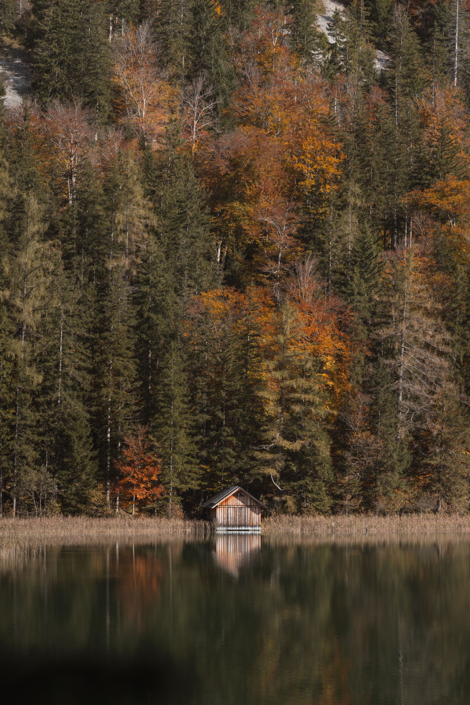 A cozy unique stay beside a calm lake in autumn