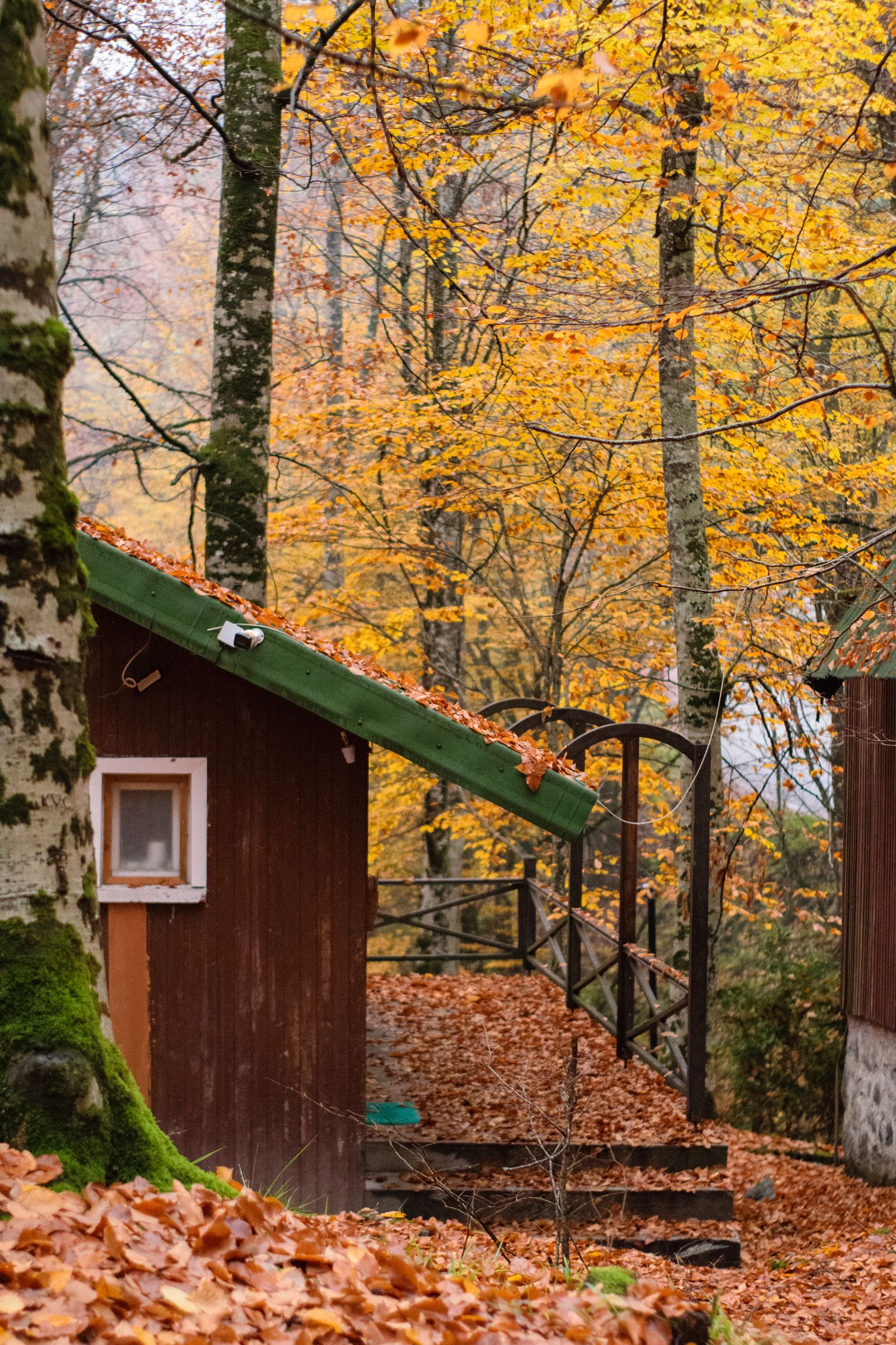 Seasonal & Dynamic Pricing for Unique Stays cover
